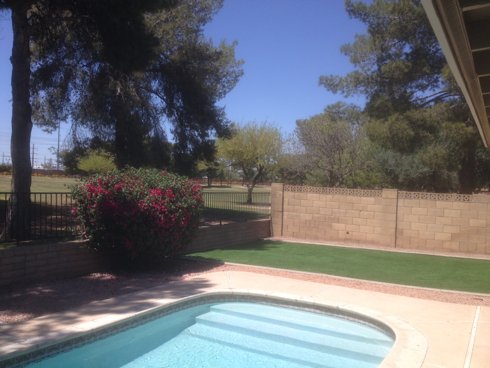ForestDr/ForestLawn41514.JPG